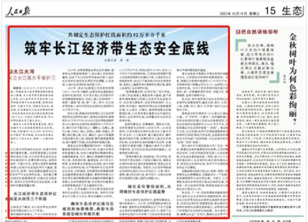 人民日?qǐng)?bào)。截圖