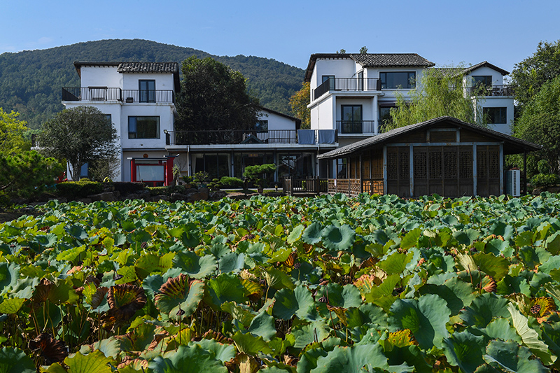 雨悅山房負(fù)責(zé)人原來在馬達(dá)加斯加打理酒店，之所以“從馬達(dá)加斯加到肥東”，源于對家鄉(xiāng)民宿前景看好。吳芳攝