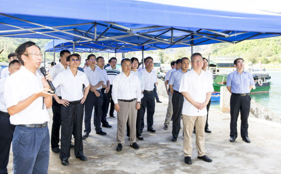 2019年6月21日上午，省長沈曉明率省政府班子成員在三亞鐵爐港調(diào)研項目規(guī)劃建設(shè)情況。海南日報記者 宋國強 攝