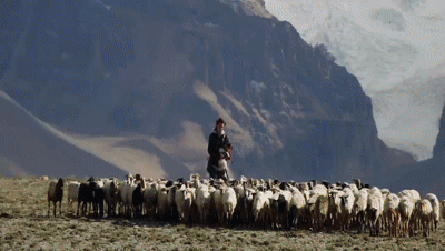 你看了嗎？藏語版《日光之城》“含金量”還在上升！