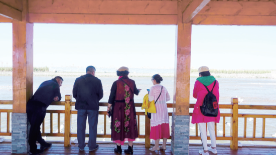 湟魚洄游奇觀吸引游人。