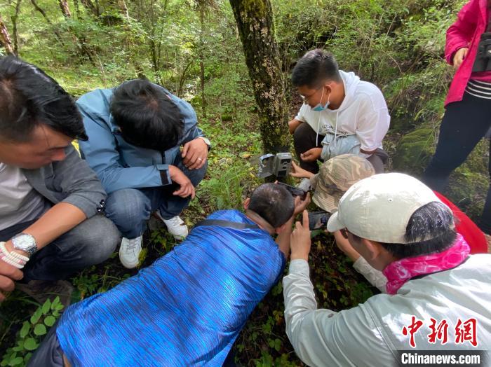 圖為訪客正在查看紅外相機(jī)中的拍攝畫面?！±罱瓕?攝