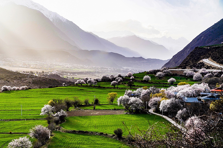 西藏林芝市波密縣傾多鎮(zhèn)八朵卡的田園風(fēng)光（攝于4月5日）。新華網(wǎng) 達(dá)娃攝.jpg