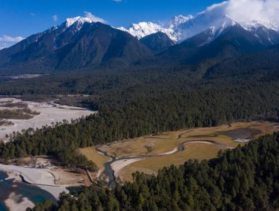 資料圖：西藏崗云杉林與遠(yuǎn)處的雪峰。 何蓬磊 攝