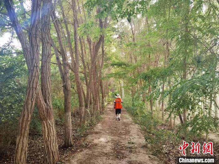 戈壁灘上的護(hù)林員：以前風(fēng)吹睜不開眼，現(xiàn)在滿眼皆綠色