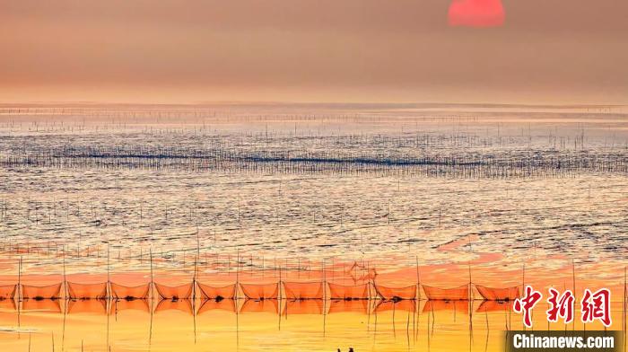 江蘇鹽城被譽為金灘銀蕩、魚米之鄉(xiāng)?！←}城市委宣傳部供圖