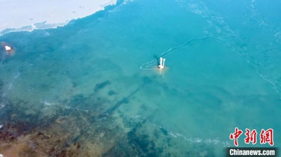 圖為冬日青海湖?！±罱瓕帯z