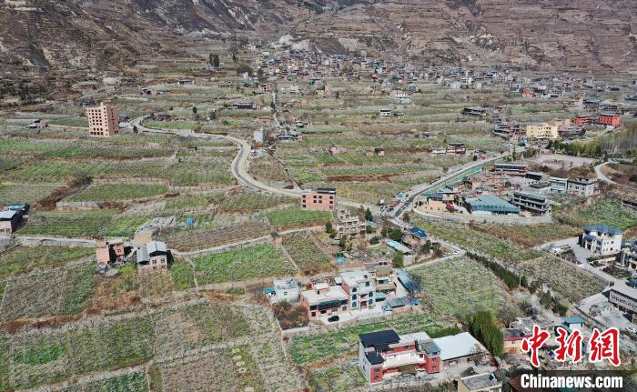 潔白的李花與村寨交相輝映，勾勒出一幅美麗的和諧生態(tài)畫卷?！『吻搴?攝