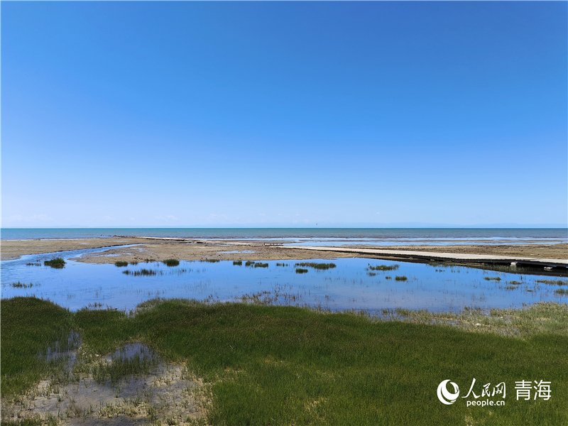 青海湖仙女灣。人民網(wǎng) 張莉萍攝