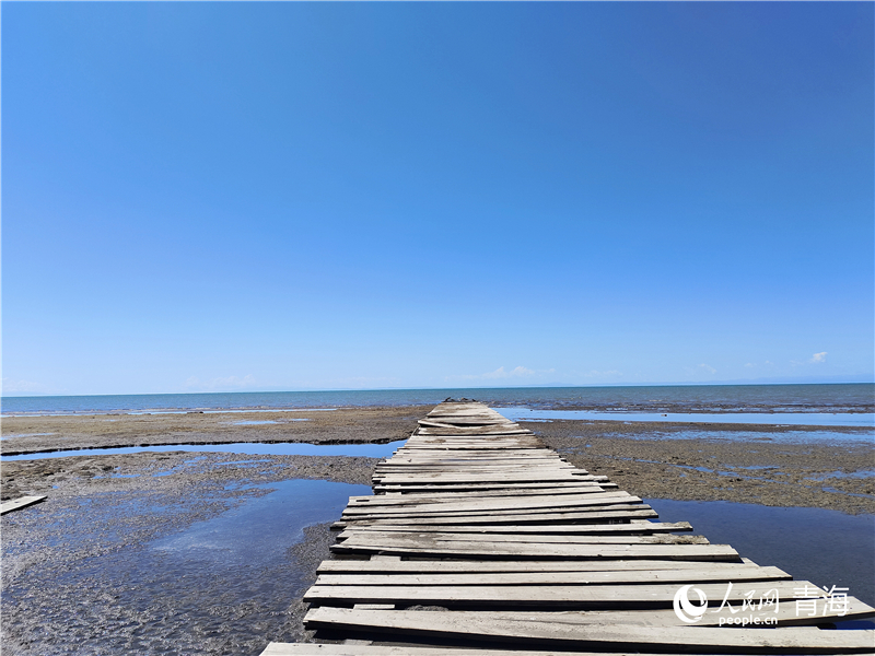   青海湖仙女灣。人民網(wǎng) 張莉萍攝
