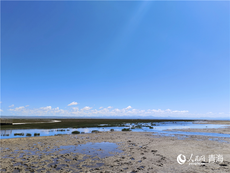   青海湖仙女灣。人民網(wǎng) 張莉萍攝