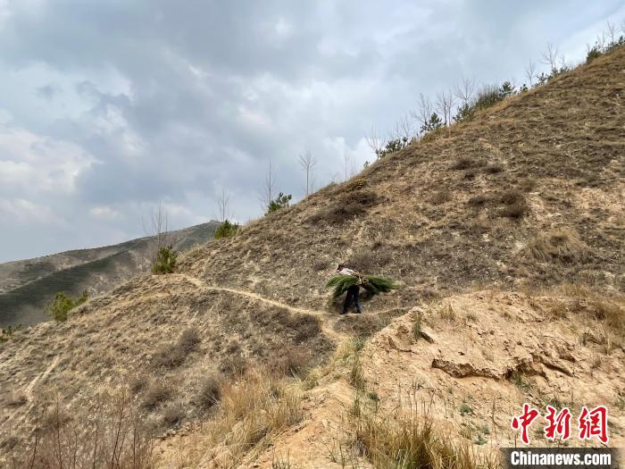 資料圖為建行青海省分行綠化區(qū)施工隊(duì)隊(duì)員人工運(yùn)樹苗?！〗ㄐ星嗪Ｊ》中泄﹫D