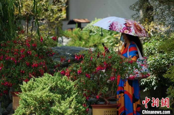 圖為市民在西寧園林植物園內賞花拍照。　馬銘言 攝