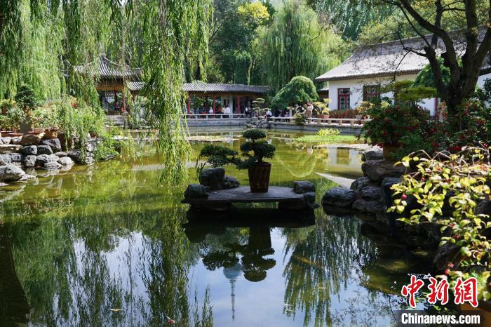 圖為西寧園林植物園秋日風景別有韻味。　馬銘言 攝