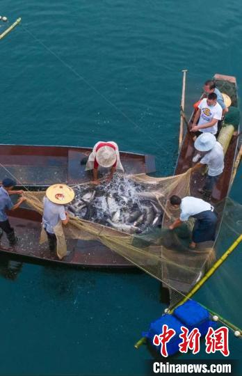 捕魚現(xiàn)場?！≈鬓k方供圖