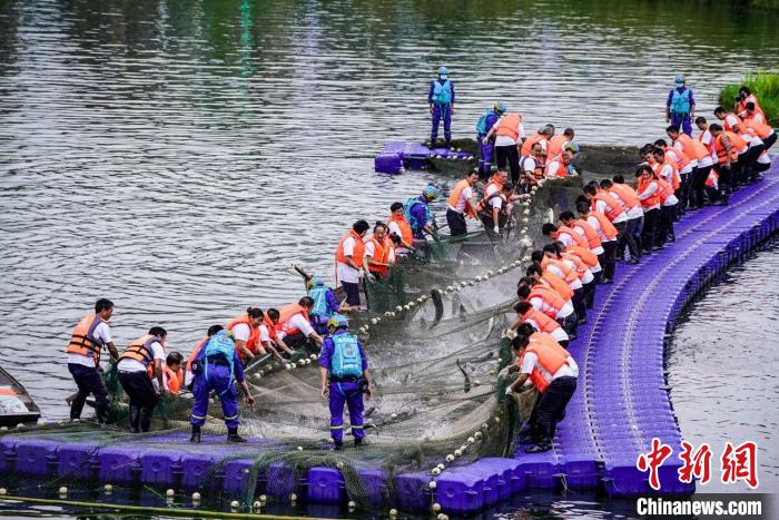 捕撈現(xiàn)場?！≈鬓k方供圖