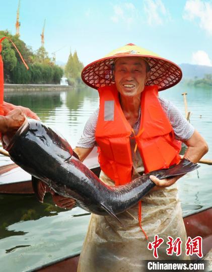 工作人員展示捕撈成果?！≈鬓k方供圖