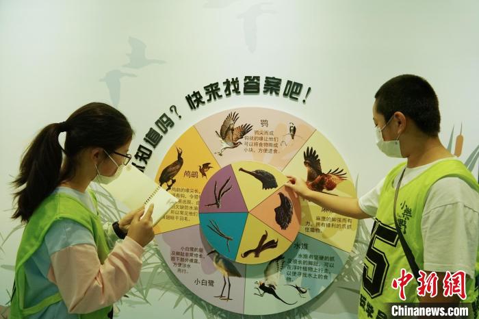圖為小朋友在青海西寧湟水國家濕地公園科普館內(nèi)參觀學習?！●R銘言 攝