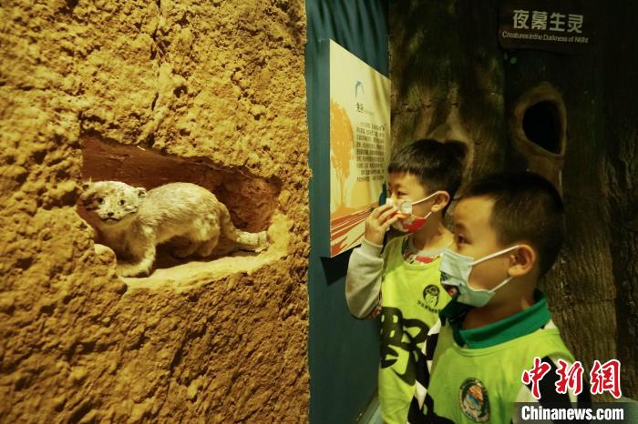 圖為小朋友在青海西寧湟水國家濕地公園科普館內(nèi)參觀學習?！●R銘言 攝