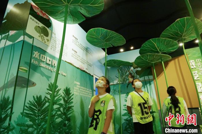 圖為小朋友在青海西寧湟水國家濕地公園科普館內(nèi)參觀學習。　馬銘言 攝