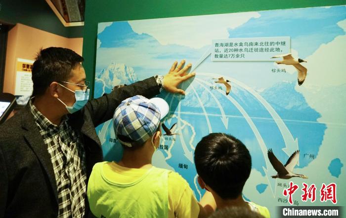 圖為小朋友在青海西寧湟水國家濕地公園科普館內(nèi)參觀學習?！●R銘言 攝