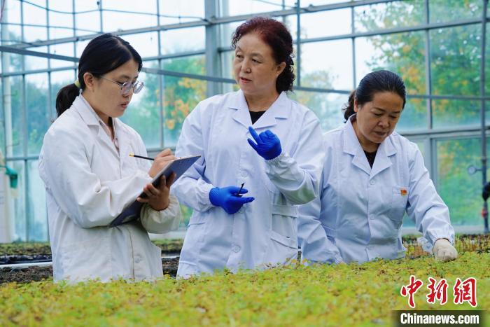 圖為張錦梅(中)與同事在討論數(shù)據(jù)。馬銘言 攝