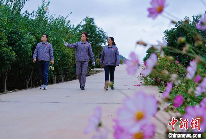 圖為張錦梅(中)與同事在西寧北山查看丁香樹?！●R銘言 攝