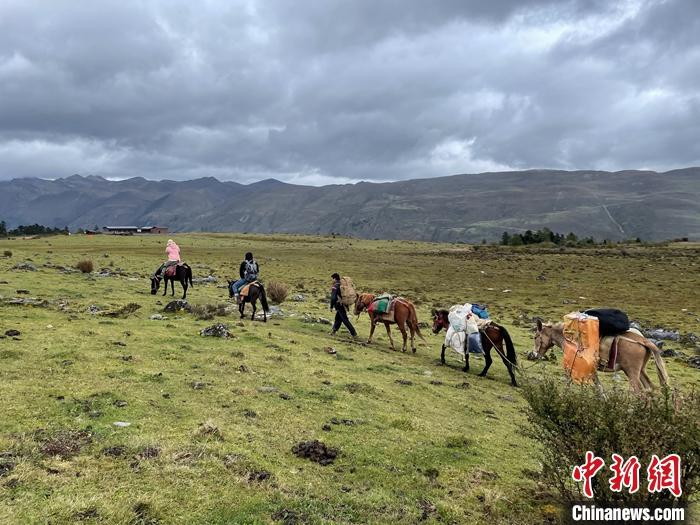 圖為9月26日游客騎馬領(lǐng)略尼汝村高原牧場(chǎng)風(fēng)光。 <a target='_blank' href='/'><p  align=
