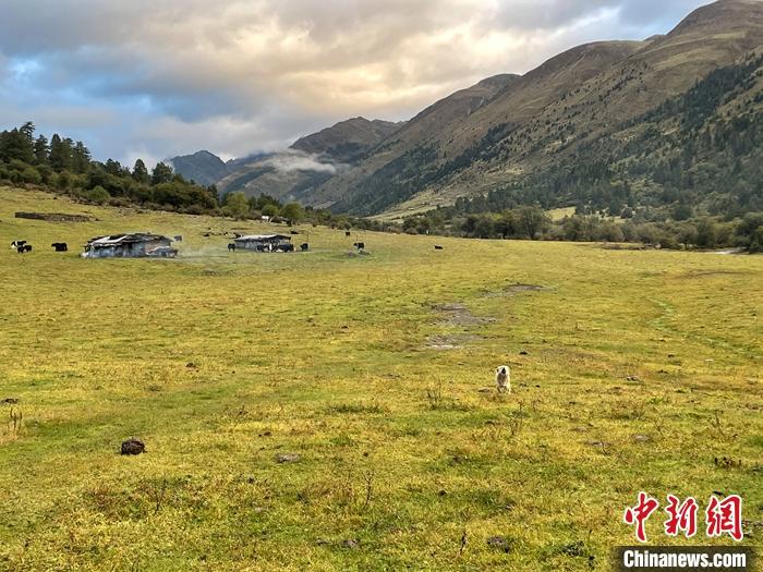 圖為9月27日新沾牧場(chǎng)的早晨景色。 <a target='_blank' href='/'><p  align=