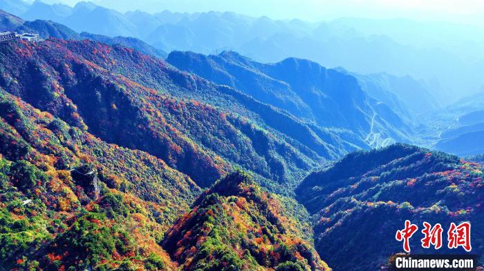 巴山大峽谷彩林迎來最佳觀賞期?！埰?攝