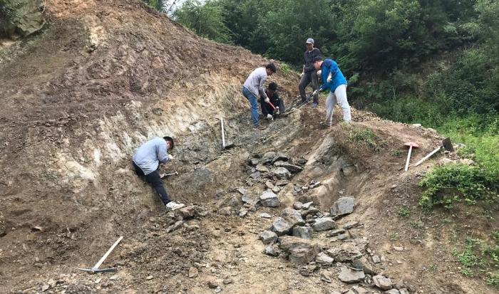 2018年玉海翼角魚野外發(fā)掘采集現(xiàn)場?！∩w志琨 攝