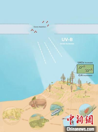 臭氧層破壞引起的紫外線輻射增加對(duì)陸地食物鏈的影響?！∧瞎潘?供圖