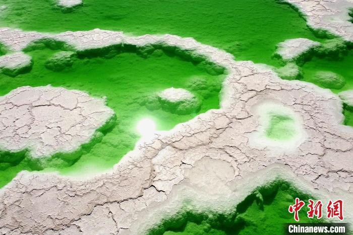 青?！拔鞔箝T(mén)”茫崖多舉措蓄能鹽湖產(chǎn)業(yè)發(fā)展