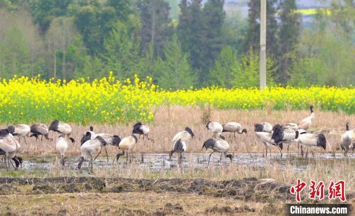 休息補給。　天全縣融媒體中心 供圖