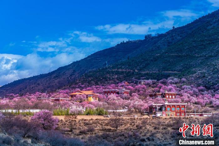 美麗的鄉(xiāng)村畫卷。　何行銘 攝