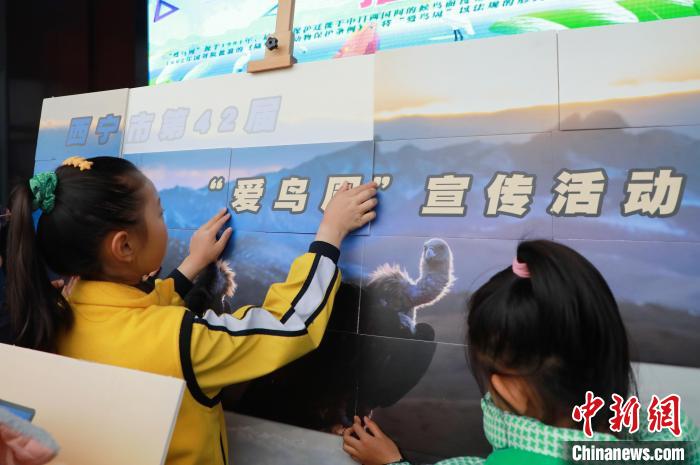 圖為學生通過拼圖游戲了解鳥類知識?！●R銘言 攝