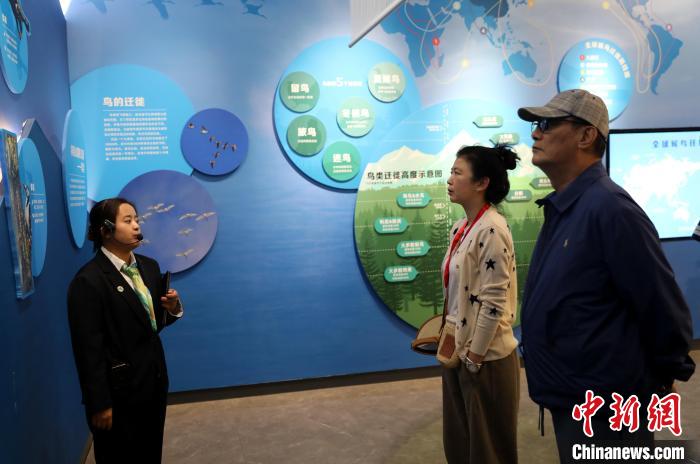 圖為臺商在祁連山國家公園生態(tài)科普館內(nèi)聆聽講解。　薛蒂 攝