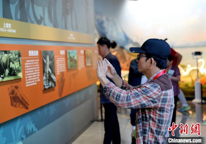 圖為臺商在祁連山國家公園生態(tài)科普館觀看墻面藝術(shù)圖文?！⊙Φ?攝