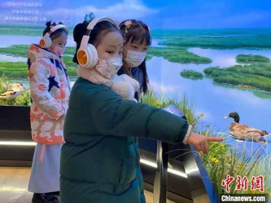 圖為學(xué)生在西寧市第一中學(xué)濕地科普宣教館內(nèi)參觀?！±罱瓕?攝