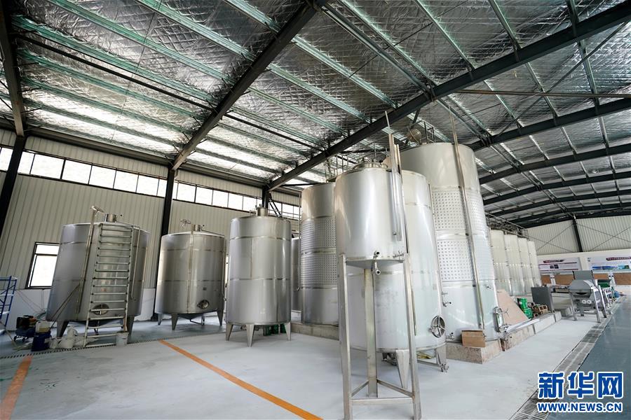 （決戰(zhàn)決勝脫貧攻堅·圖文互動）（5）西藏昌都“甜蜜”產業(yè)助脫貧