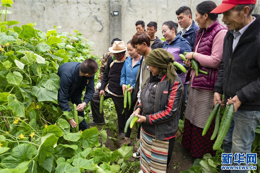 （新華全媒頭條·走向我們的小康生活·圖文互動）（9）扎西德勒，我們的新家園——西藏易地扶貧搬遷搬出幸福美好新生活