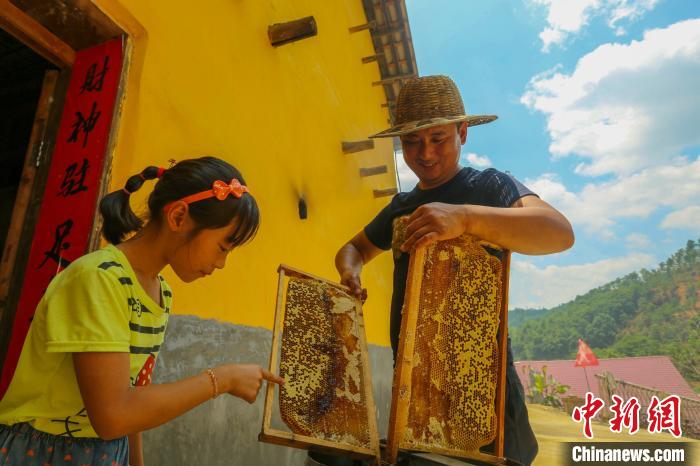 “甜蜜產(chǎn)業(yè)”讓全村致富有奔頭。洲湖鎮(zhèn)供圖