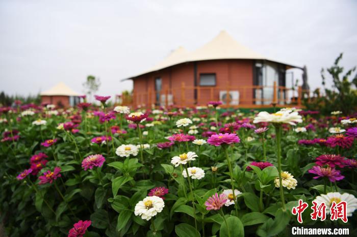 甘肅鄉(xiāng)村冀“四老”資源用“美麗”戰(zhàn)勝貧困