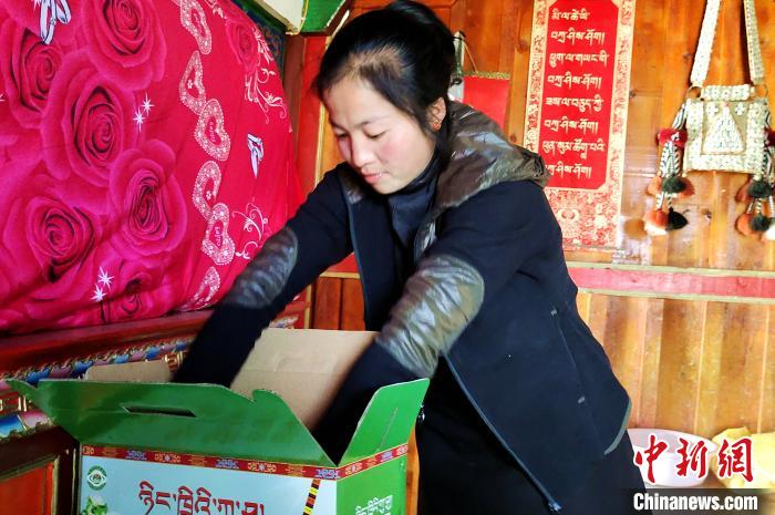 圖為通麥村村民巴桑拉姆把精心挑選的蘋果裝箱?！∝暽＠?攝