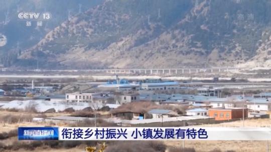 種蘑菇、養(yǎng)駱駝...。。特色產(chǎn)業(yè)助力鄉(xiāng)村振興走新路