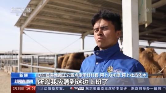 種蘑菇、養(yǎng)駱駝...。。特色產(chǎn)業(yè)助力鄉(xiāng)村振興走新路