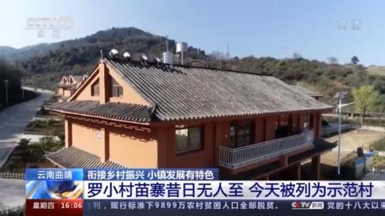 種蘑菇、養(yǎng)駱駝...。。特色產(chǎn)業(yè)助力鄉(xiāng)村振興走新路