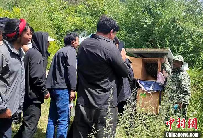 拉久西村村民學(xué)習(xí)養(yǎng)蜂工作流程和防范事項?！〔际忻⒖悼h委宣傳部供圖