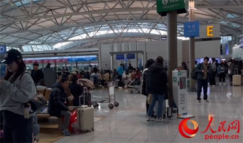 11月29日，繁忙的仁川機(jī)場。人民網(wǎng) 李帆攝
