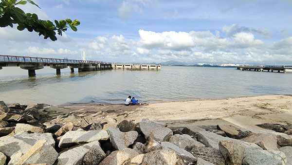 深圳紅樹(shù)林灘涂，留給了孩子們親近自然的空間。人民網(wǎng)記者 李彤?dāng)z